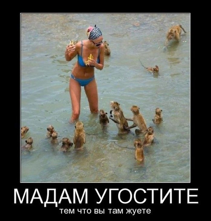 МАДАМ УГОСТИТЕ тем что вы там жуете