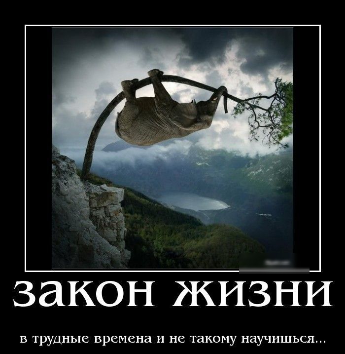 закон ЖИЗНИ в трудные времена и не такому научишься