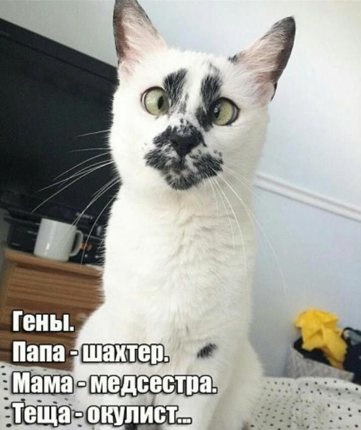 Ы