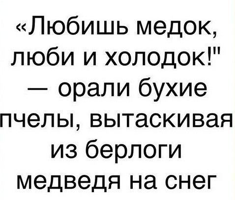Любишь медок люби и холодок орали бухие пчелы вытаскивая из берлоги медведя на снег