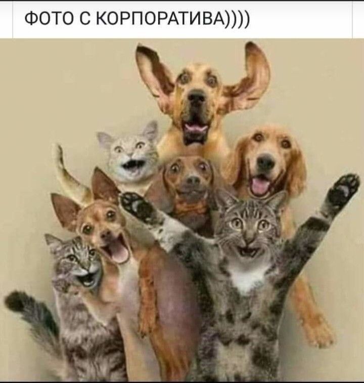 ФОТО с КОРПОРАТИВА