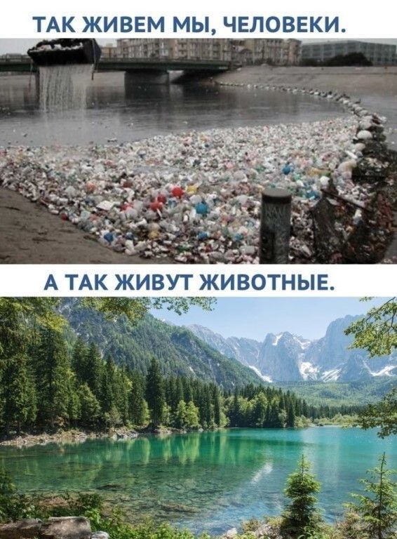 К ЖИВЕМ МЫ ЧЕЛОВЕКИ