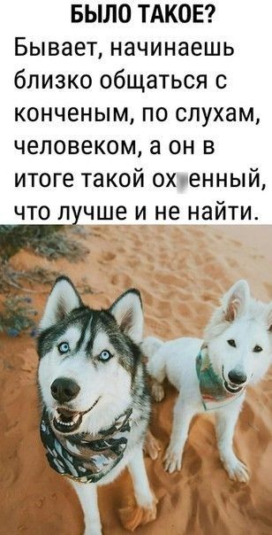 БЫЛО ТАКОЕ Бывает начинаешь близко общаться с конченым по слухам человеком а он в итоге такой охюнный что л ч_и_1_е и_ не найти