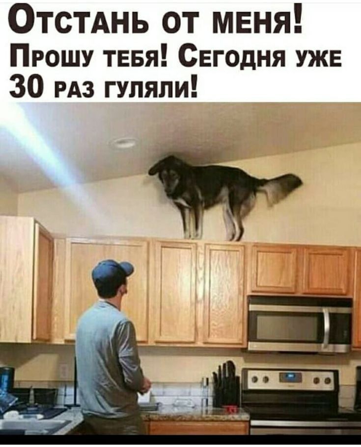 Отстднь от меня Прошу тевя Сегодня УЖЕ 30 РАЗ гуляли