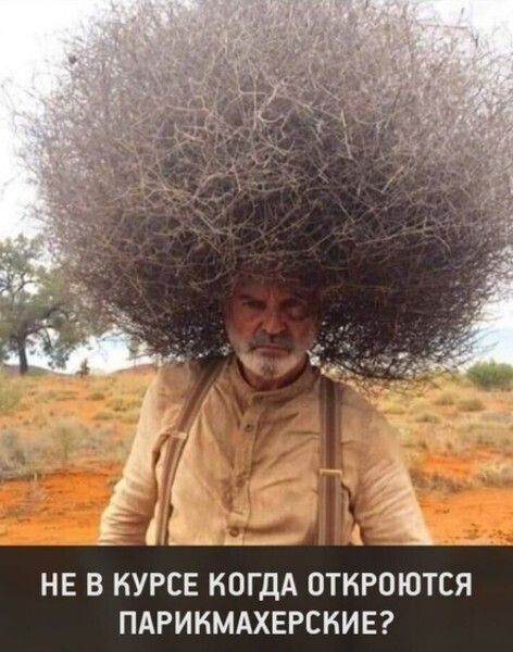 НЕ В КУРСЕ КОГДА ОТКРОЮТСЯ ПАРИКМАХЕРСНИЕ