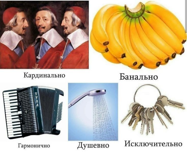 Кардинально э Гцриоицчпа Душа Исключительно