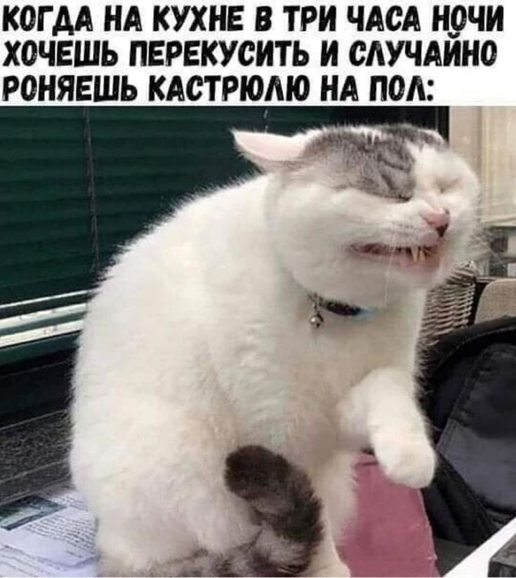 КОГДА НА КУХНЕ В ТРИ ЧАСА НОЧИ ХОЧЕШЬ ПЕРЕКУСИТЬ И СЛУЧАЙНО РОНЯЕШЬ КАСТРЮЛЮ НА ПОЛ