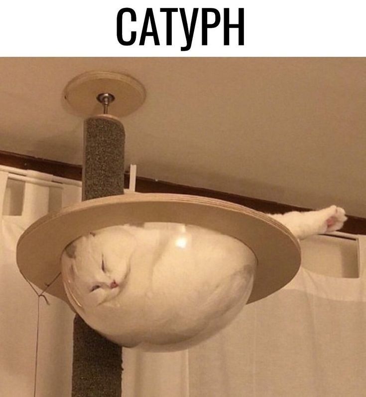 САТУРН ч Ф Х