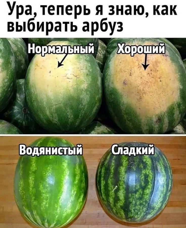 Ура теперь я знаю как выбирать арбуз Водянистый Сладкий _