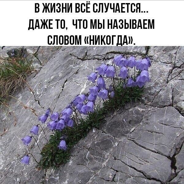 В ЖИЗНИ ВСЁ СЛУЧАЕТБП ЛАЖЕ ТП ЧТО МЫ НАЗЫВАЕМ