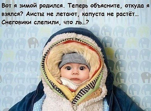 Вот зимвй родился Теперь объясните вшуда я взялся Аиста не летают капуста не растёт Снегавики влепили чтс та