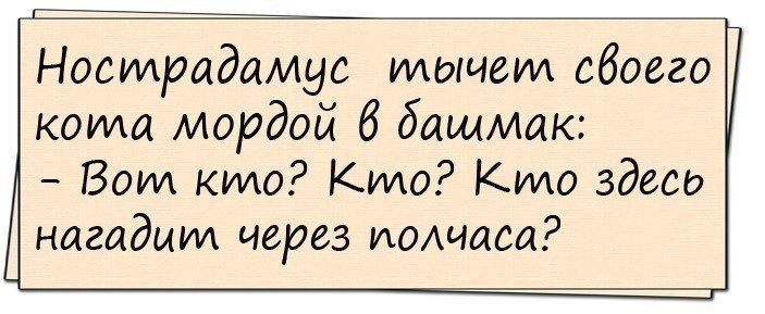 Нострадамус тычет обоего кота мордой 6 башмак Вот кто Кто Кто здесь нагадит через полчаса