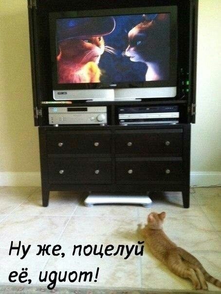 Ну же поцелу её цуиот