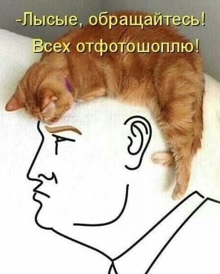 Лысые обращайтесь сех отфотошоплю