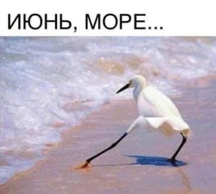ИЮНЬ МОРЕ _