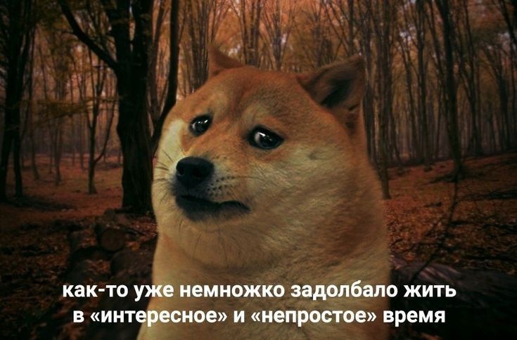 как то уж ишиожко задолбало жить и интересное и непростое время