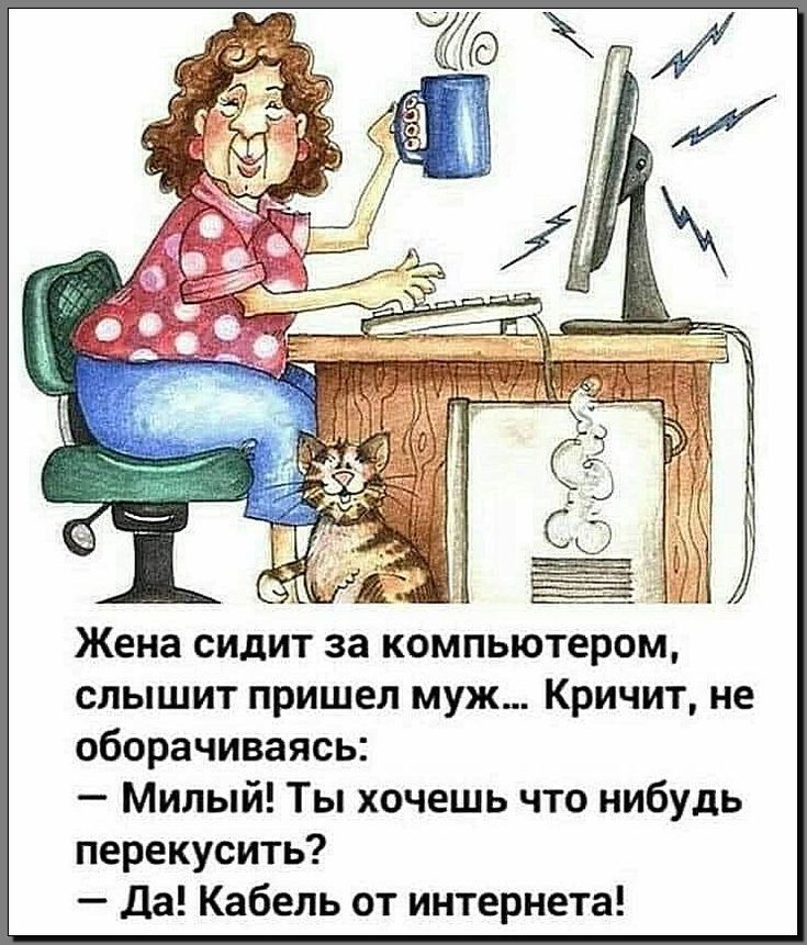 Жена сидит за компьютером слышит пришел муж Кричит не оборачиваясь Милый Ты хочешь что нибудь перекусить _ Да Кабель от интернета