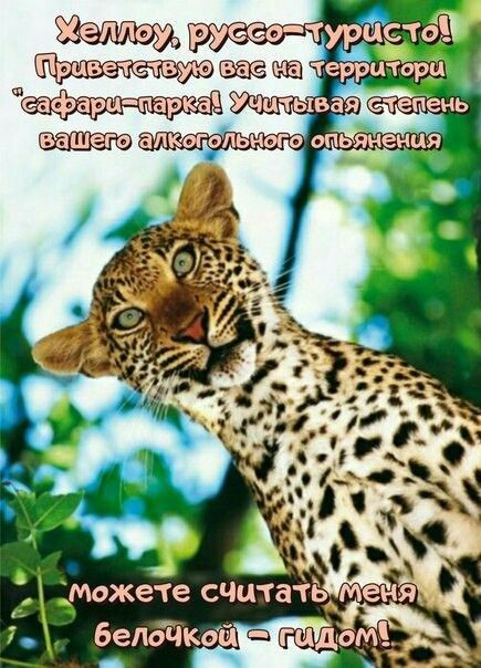 РУе юа территорц