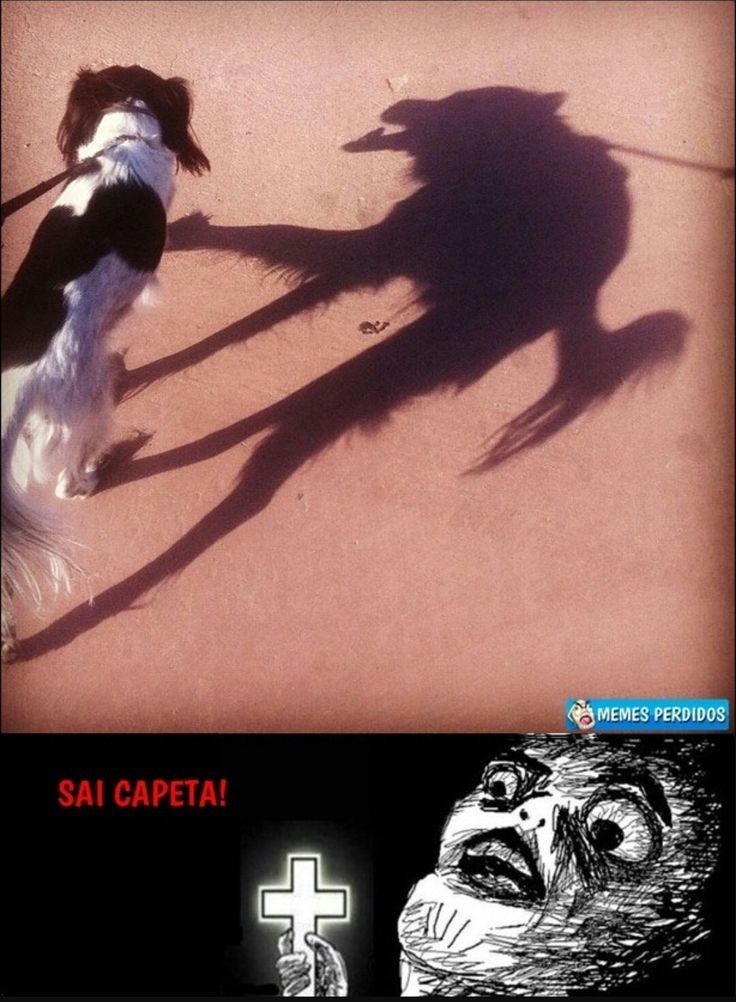11 САПН