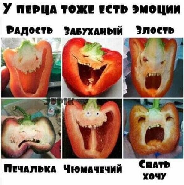У мии ТСЖ ить эмоции плена ини ні Злость милым ющчний к