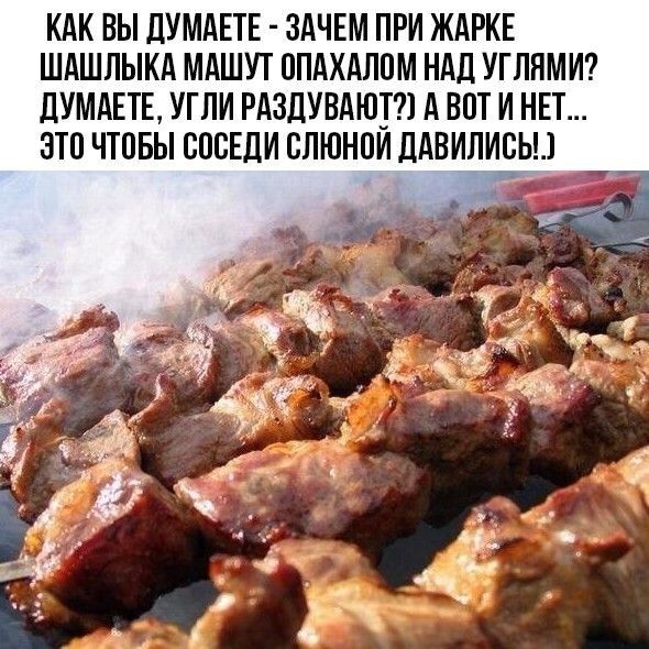КАК ВЫ ЛУМАЕТЕ ЗАЧЕМ ПРИ ЖАРКЕ ШАШПЫКА МАШУТ ППЛХАЛПМ НМ УГЛНМИ дУМАЕТЕ УГЛИ РАЗДУВАЮГЛ А ВПТ И НЕТ ЭТП ЧТОБЫ СОСЕДИ СЛЮНПИ ДАВИЛИВЫ 47