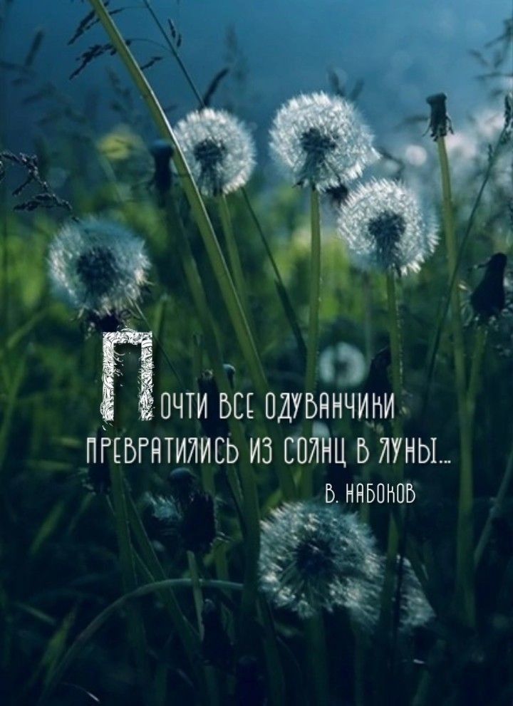 ПОЧТИ Ш ПДУБНИЧИИИ ПГЕЫНТИИИЕЬ ИЗ ШИИЦ Б ИУНЫ в иньпипь