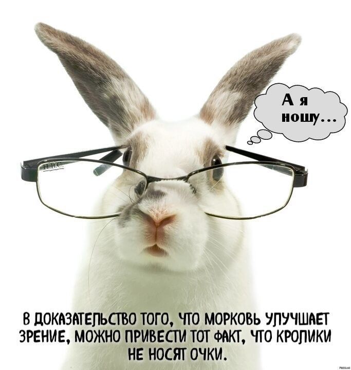 в авианалёт морковь утчшш зрение можна Шмот что кролики _ ятьоъяки