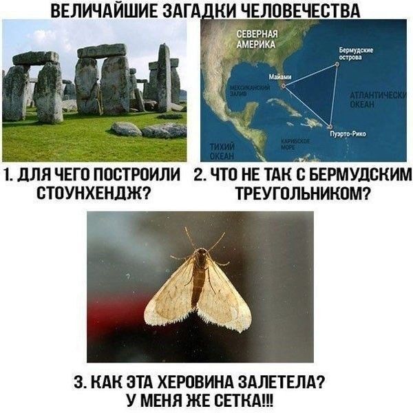 ВЕЛИЧАЙШИЕ 3АГА_ КИ ЧЕЛПВЕЧЕБТВА сш дмкэим _ 1 для ЧЕГО ПОВТРПИЛИ 2 ЧТО НЕ ТАК С БЕРМУШЖИМ ППУНХЕНДЖ ТРЕУГОЛЬНИКПМЧ 3 КАК ЭТА ХЕРВВИНА ЗАЛПЕЛА У МЕНЯ ЖЕ СЕТКА
