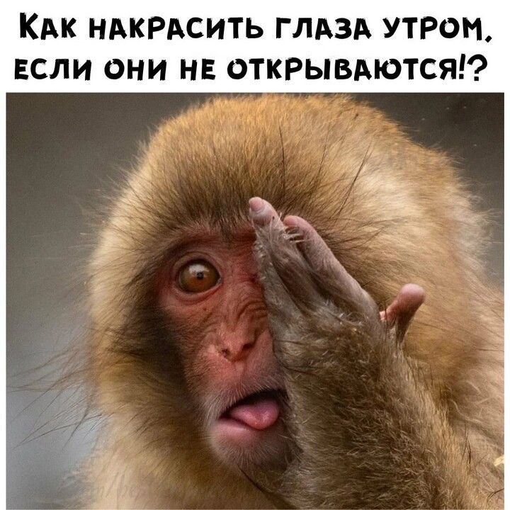 КАК ндкРдсить ГЛАЗА УТРом если они нв открывдютсяп