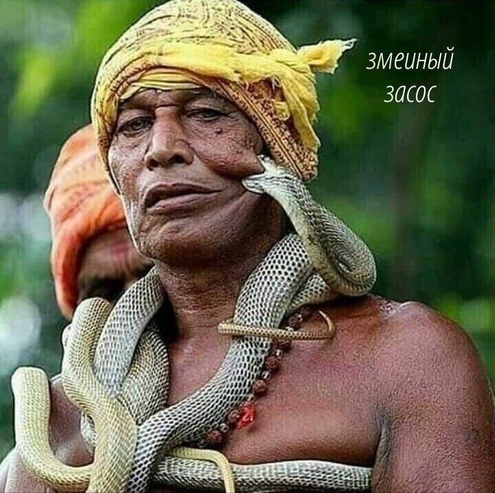 змеиныи