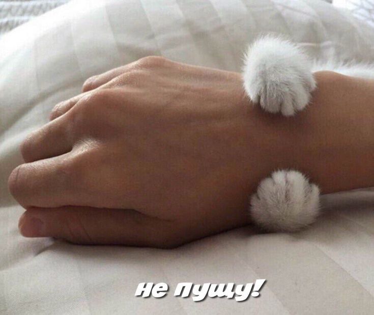 иа Душу