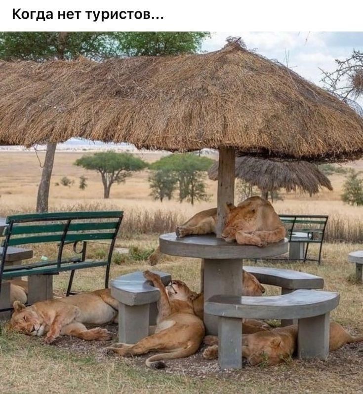Когда нет туристов