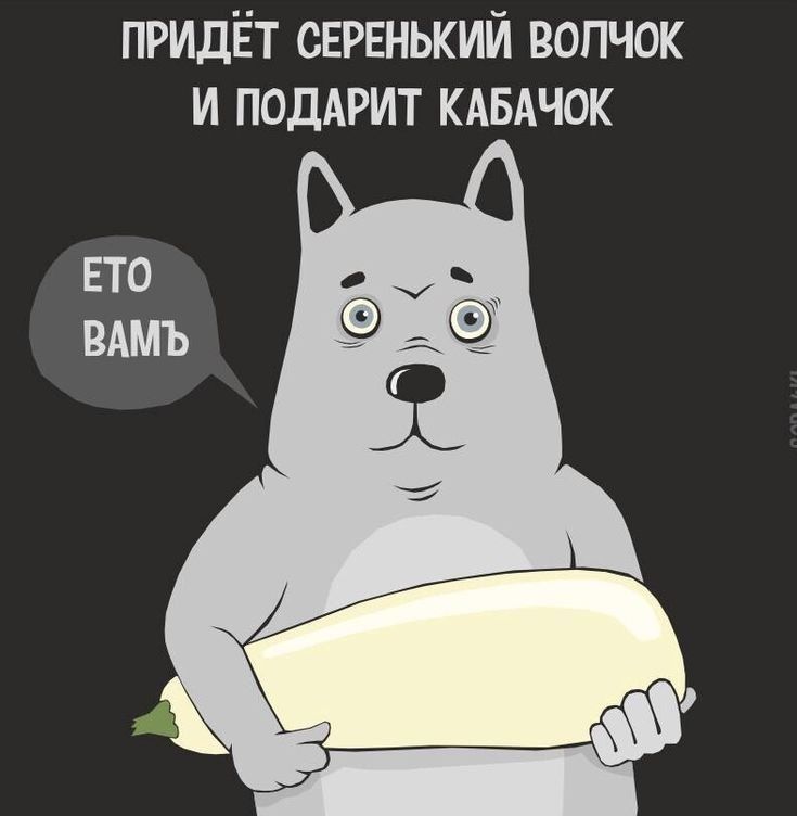 прилёт серенький волчок и поддрит кдвдчок