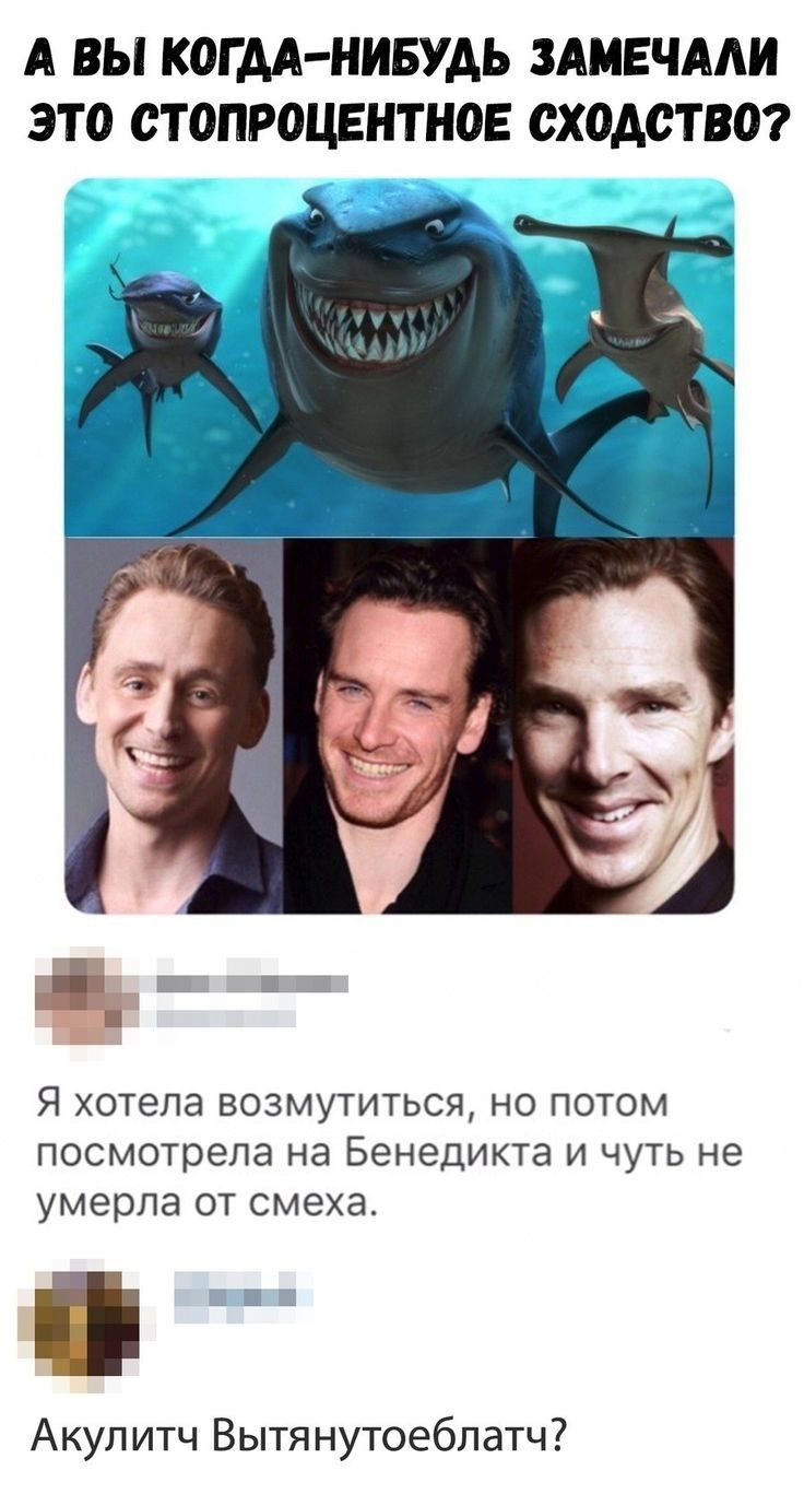 А ВЫ МКАД НИБУДЬ ЗАМЕЧААИ ЭТО СТОПРЩЕНПЮЕ 0Х0АСТ807 Я хотела возмутиться но потом посмотрела на Бенедикта и чуть не умерла от смеха Акупитч Вытянутоеблатч