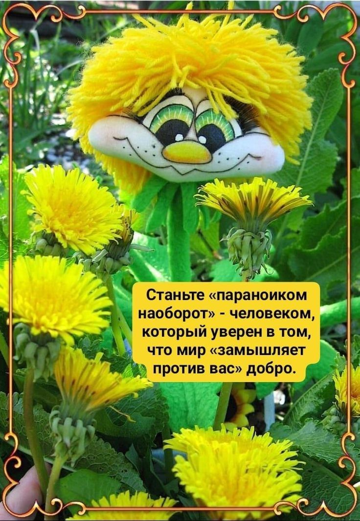 тшшшуэзщпвпащ 0_ Юшяэхшщдшш