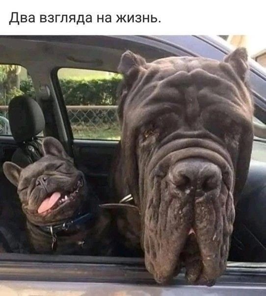 ДВЕ ВЗГЛЯДЭ на ЖИЗНЬ