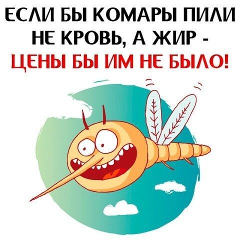 ЕСАИ БЫ КОМАРЫ ПИАИ НЕ КРОВЬ А ЖИР ЦЕНЫ БЫ ИМ НЕ БЫАО