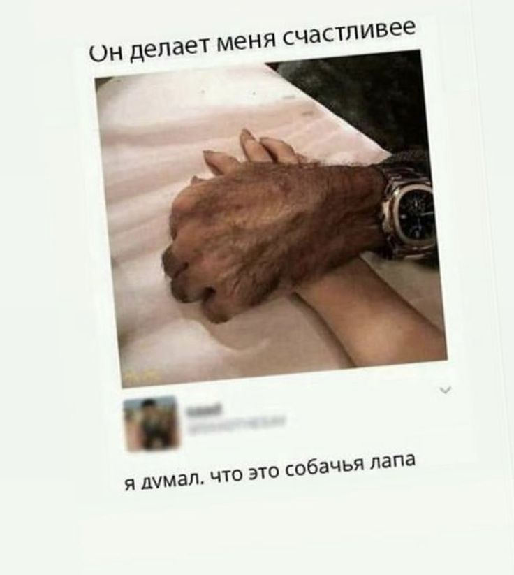счастливее Он делает меня я думал что это собачья папа