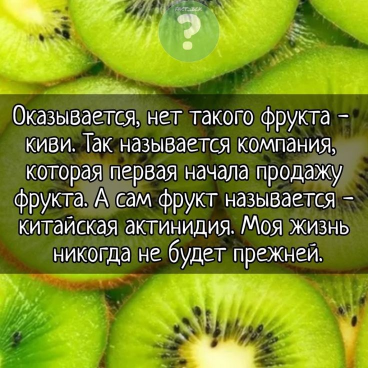 ишЧу Оказывается нет такого фрукта киви Так называется компания которая первая начала продажу фрукта А сам фрукт называется китайская актинидия Моя жизнь никогда не будет преЖнеи