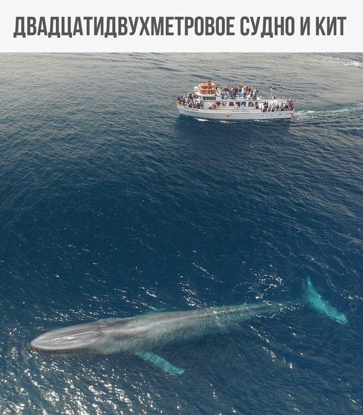 дВддЦдТИЛВУХМЕТРПВОЕ СУЛНП И КИТ