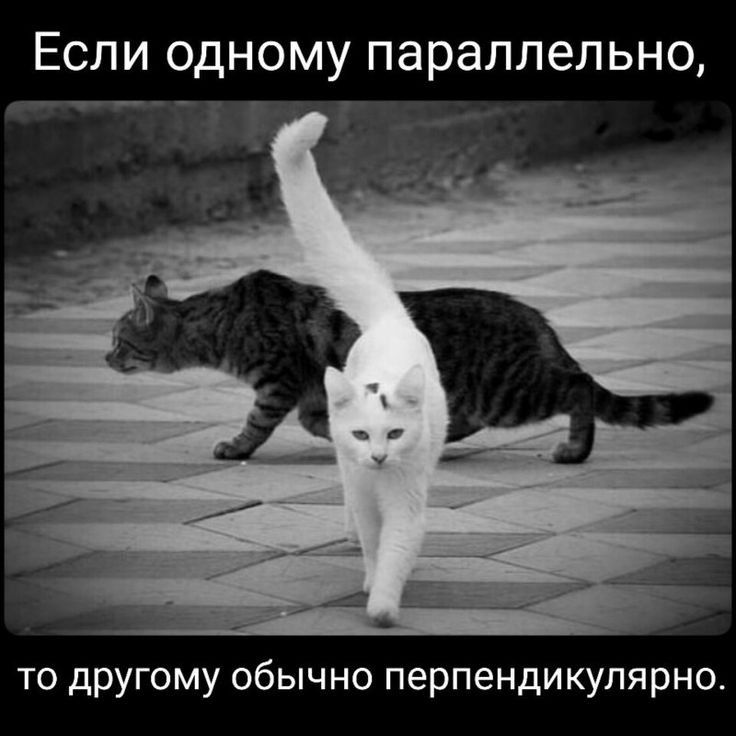 ЕСЛИ ОДНОМУ параллельно то другому обычно перпендикулярно
