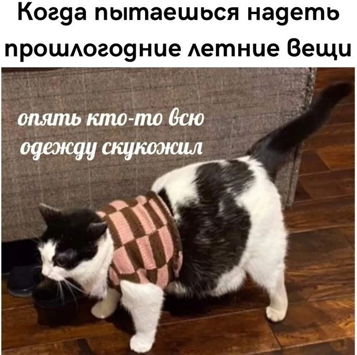Когуа пытаешься науеть ПРОШАОЗОЗНЦЭ Аетние Вещи