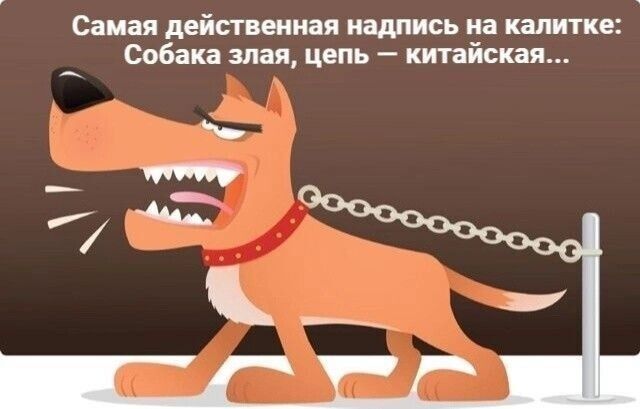 Самая дейтеиная надпись на калитке собака злая цепь китайская