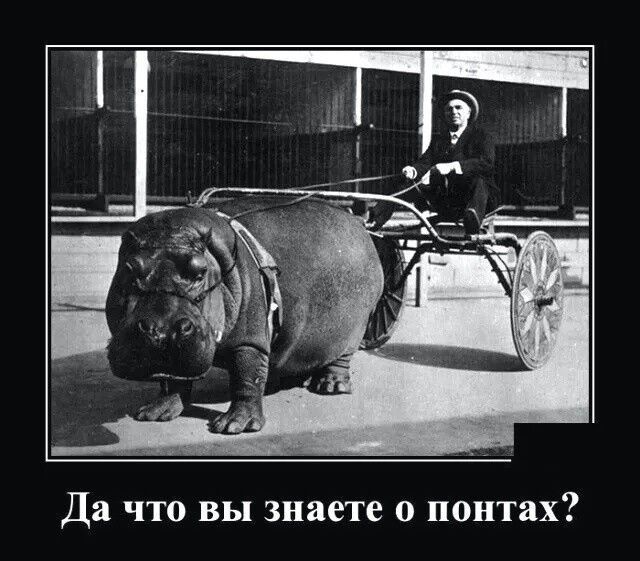 Да ЧТО ВЫ знаете 0 понтах
