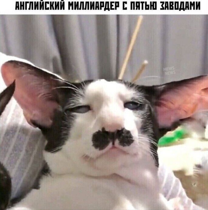 ПИШИЙЕКИЙ НШИПМЕР ЛИТЫЕ ШПШНИ _