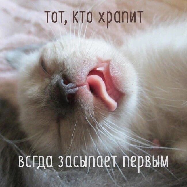 ТОТ КТО ХРППИТ