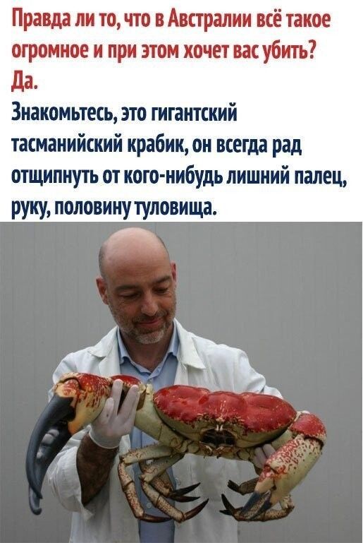 Правда ли то что парами всё такое томное и при этом хочет кубки да Знакомьтеш это гигацпший псманийский храбикон всегда рад отщипнуть от кого нибудь лишний палец руку половинутуловища