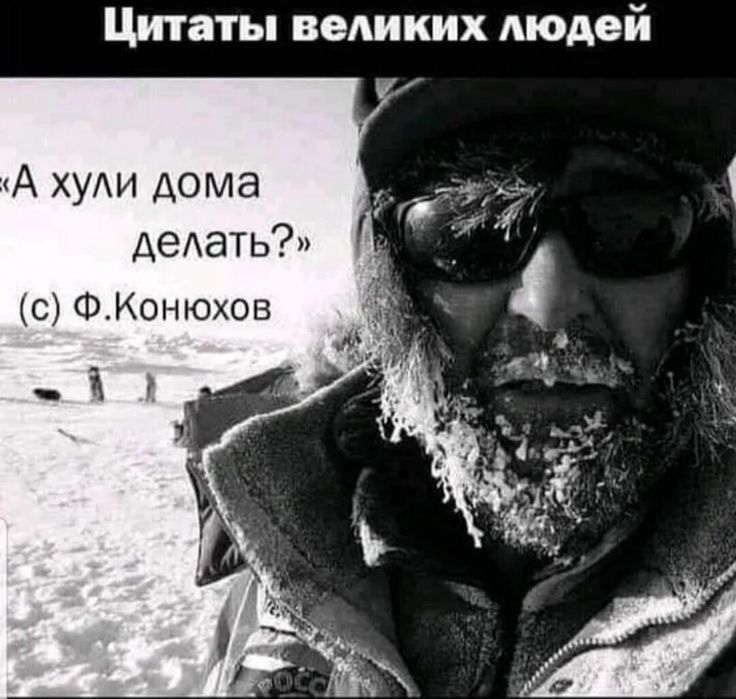 Цитаты великих людей дедатьд с ФКонюхон і
