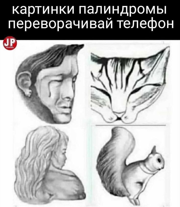 картинки палиндромы переворачивай телефон
