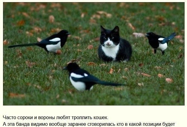 чмщти ты им таит А мид ш вшобщг циниицпщь ни в и Мы